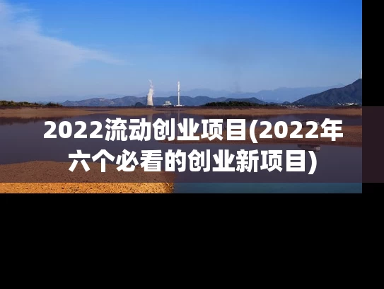 2022流动创业项目(2022年六个必看的创业新项目)