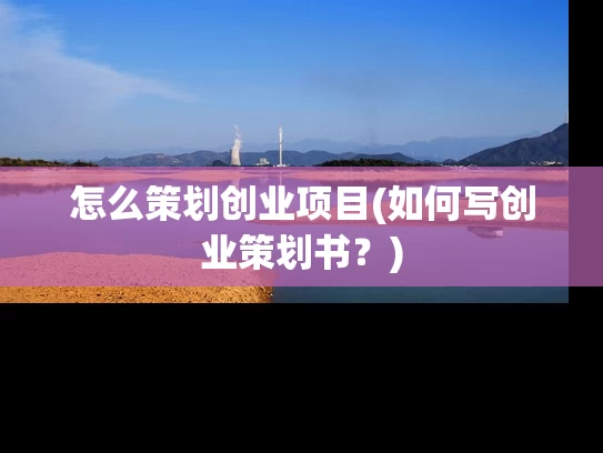 怎么策划创业项目(如何写创业策划书？)