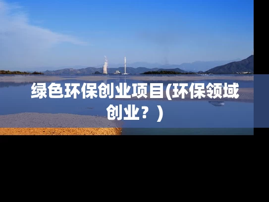 绿色环保创业项目(环保领域创业？)
