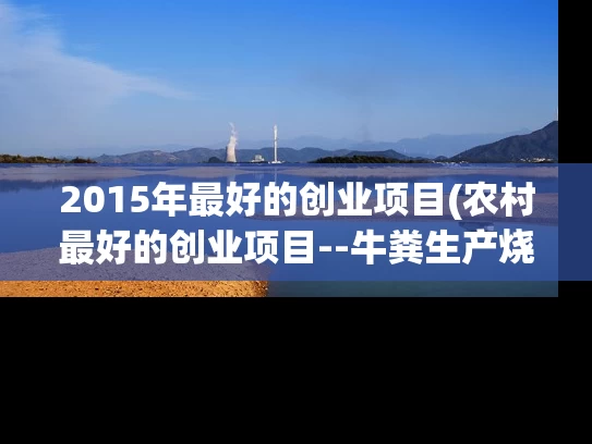 2015年最好的创业项目(农村最好的创业项目--牛粪生产烧烤炭)