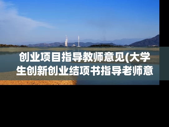 创业项目指导教师意见(大学生创新创业结项书指导老师意见怎么写)
