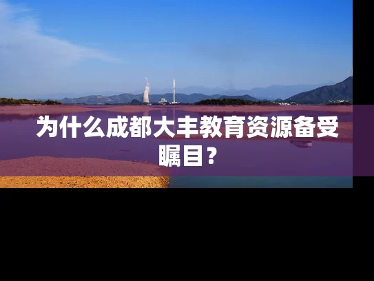 为什么成都大丰教育资源备受瞩目？