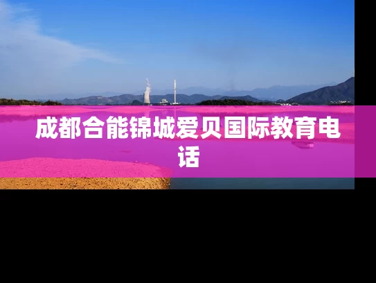 成都合能锦城爱贝国际教育电话