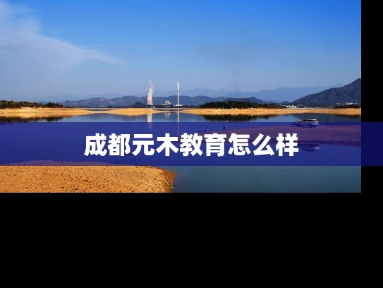 成都元木教育怎么样