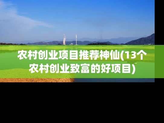 农村创业项目推荐神仙(13个农村创业致富的好项目) 农村创业项目推荐神仙(13个农村创业致富的好项目)