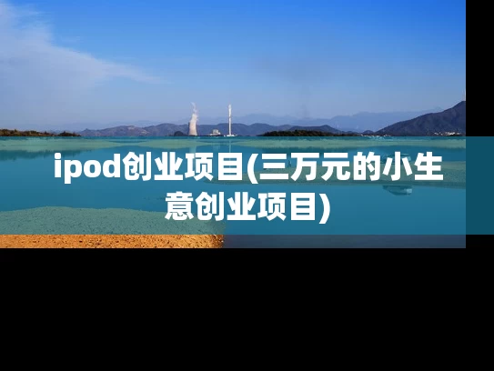ipod创业项目(三万元的小生意创业项目)