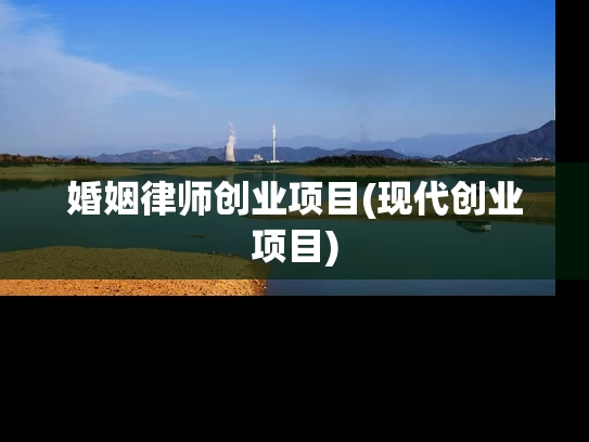 婚姻律师创业项目(现代创业项目)