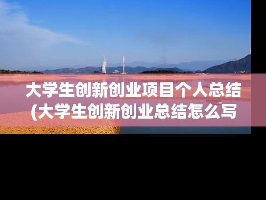 大学生创新创业项目个人总结(大学生创新创业总结怎么写)