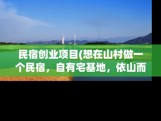 民宿创业项目(想在山村做一个民宿，自有宅基地，依山而建面积较大，前景怎么样？)