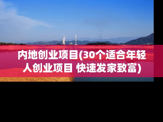 内地创业项目(30个适合年轻人创业项目 快速发家致富)