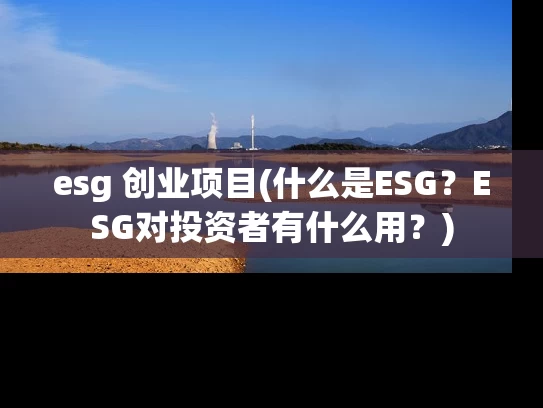 esg 创业项目(什么是ESG？ESG对投资者有什么用？)