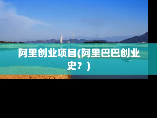 阿里创业项目(阿里巴巴创业史？)