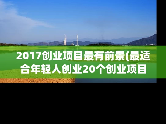 2017创业项目最有前景(最适合年轻人创业20个创业项目)