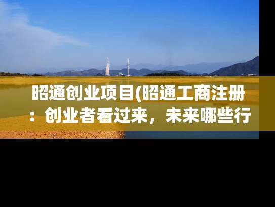昭通创业项目(昭通工商注册：创业者看过来，未来哪些行业才是你创业的方向？)