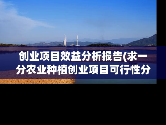 创业项目效益分析报告(求一分农业种植创业项目可行性分析报告)
