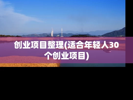 创业项目整理(适合年轻人30个创业项目)