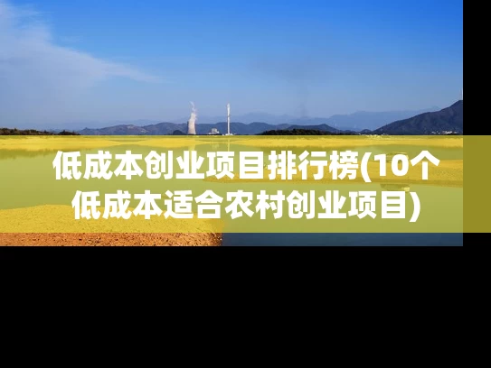 低成本创业项目排行榜(10个低成本适合农村创业项目)