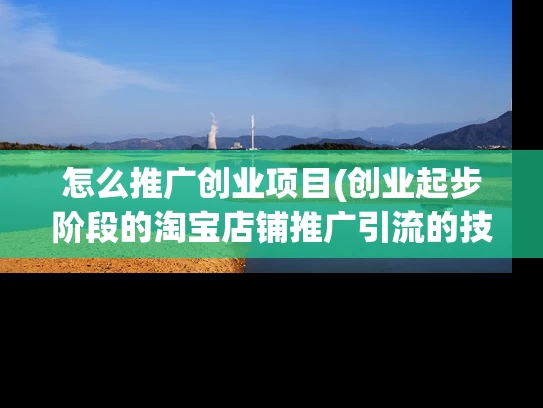 怎么推广创业项目(创业起步阶段的淘宝店铺推广引流的技巧)
