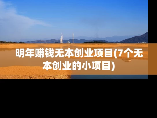 明年赚钱无本创业项目(7个无本创业的小项目)