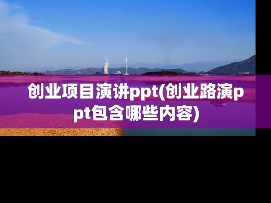 创业项目演讲ppt(创业路演ppt包含哪些内容)