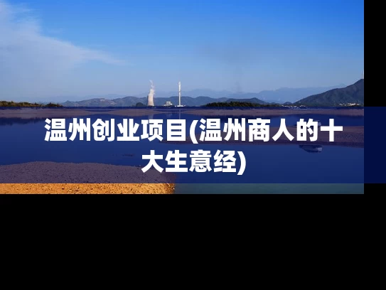 温州创业项目(温州商人的十大生意经)