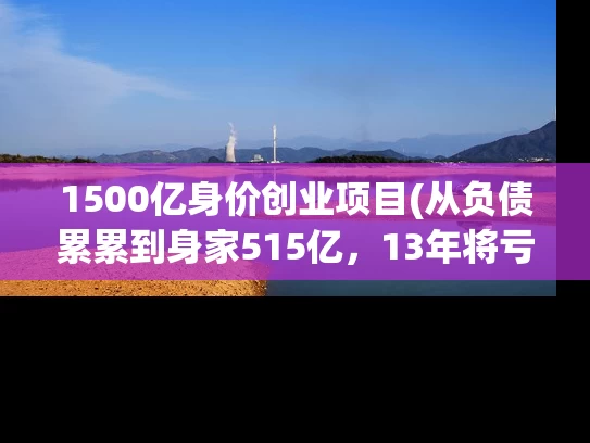 1500亿身价创业项目(从负债累累到身家515亿，13年将亏损小厂做到1500亿，力压史玉柱)