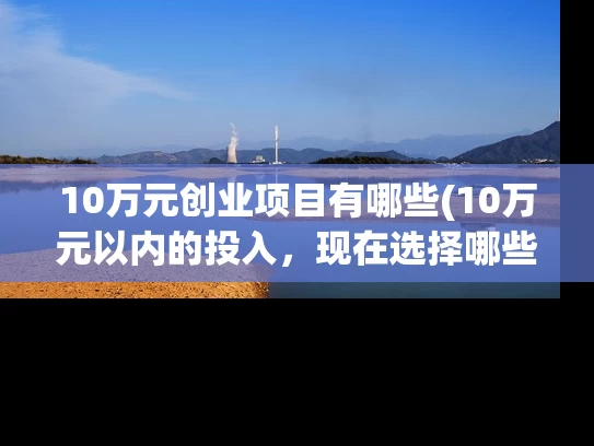10万元创业项目有哪些(10万元以内的投入，现在选择哪些创业项目，能一年收入20万以上？)