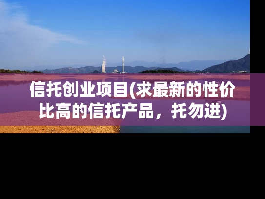 信托创业项目(求最新的性价比高的信托产品，托勿进)