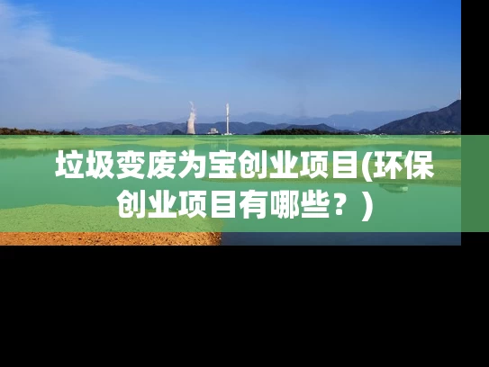 垃圾变废为宝创业项目(环保创业项目有哪些？)