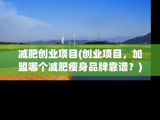 减肥创业项目(创业项目，加盟哪个减肥瘦身品牌靠谱？)