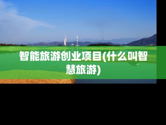 智能旅游创业项目(什么叫智慧旅游)