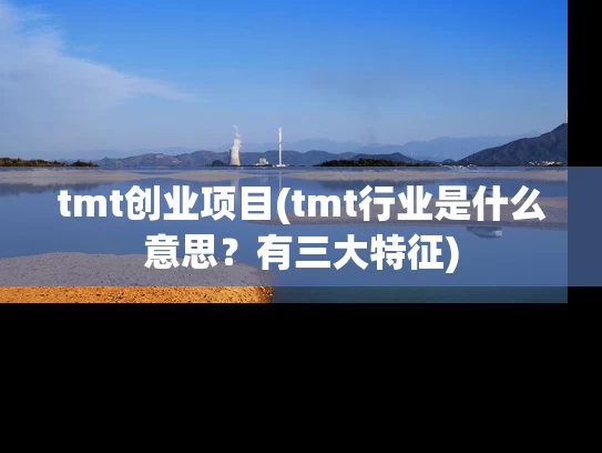 tmt创业项目(tmt行业是什么意思？有三大特征)