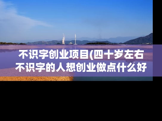不识字创业项目(四十岁左右不识字的人想创业做点什么好)