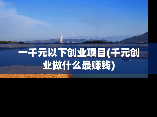 一千元以下创业项目(千元创业做什么最赚钱)
