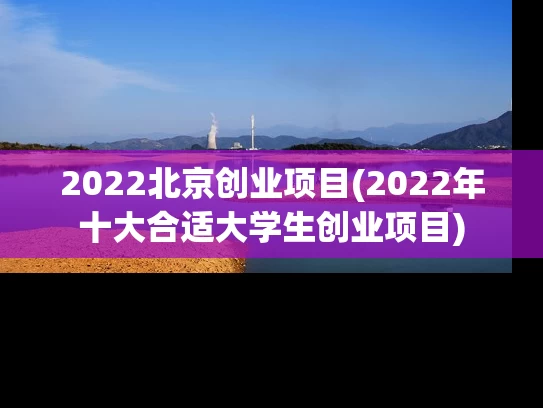 2022北京创业项目(2022年十大合适大学生创业项目)