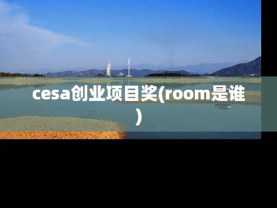 cesa创业项目奖(room是谁)
