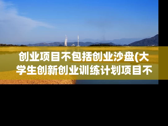 创业项目不包括创业沙盘(大学生创新创业训练计划项目不包含哪种类型)