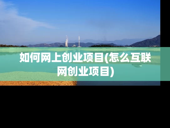 如何网上创业项目(怎么互联网创业项目)