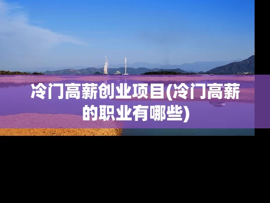冷门高薪创业项目(冷门高薪的职业有哪些)