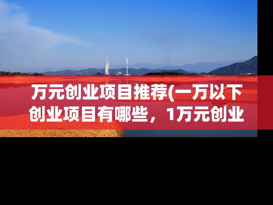 万元创业项目推荐(一万以下创业项目有哪些，1万元创业小项目推荐)