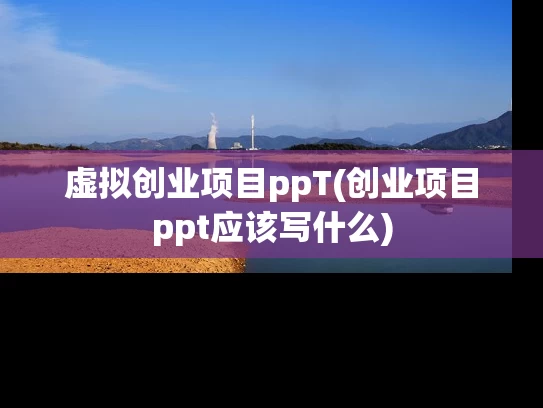 虚拟创业项目ppT(创业项目ppt应该写什么)