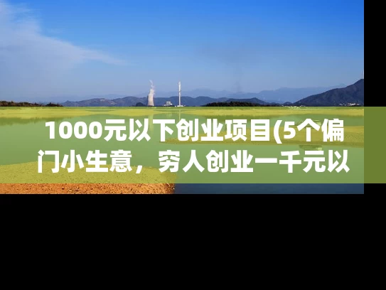 1000元以下创业项目(5个偏门小生意，穷人创业一千元以下的)