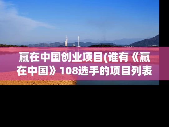 赢在中国创业项目(谁有《赢在中国》108选手的项目列表？)