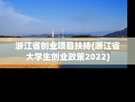 浙江省创业项目扶持(浙江省大学生创业政策2022)