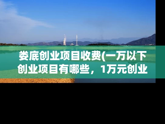 娄底创业项目收费(一万以下创业项目有哪些，1万元创业小项目推荐)