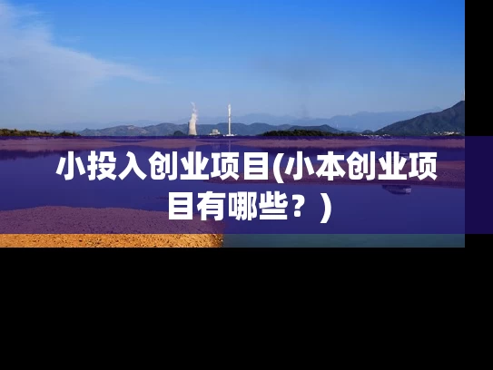 小投入创业项目(小本创业项目有哪些？)