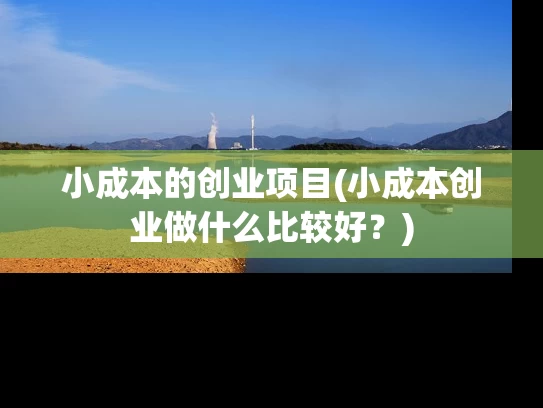 小成本的创业项目(小成本创业做什么比较好？)