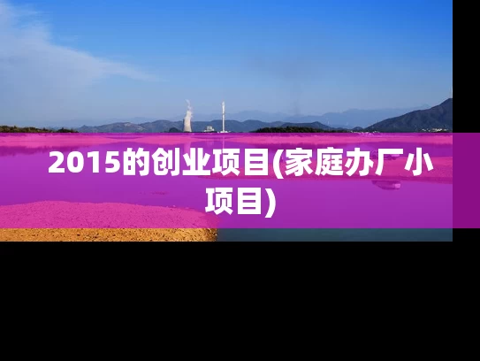 2015的创业项目(家庭办厂小项目)