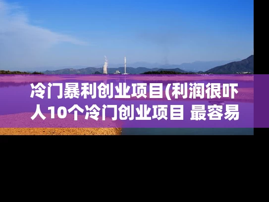 冷门暴利创业项目(利润很吓人10个冷门创业项目 最容易起步的创业项目)