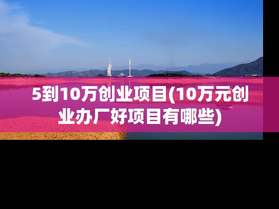 5到10万创业项目(10万元创业办厂好项目有哪些)
